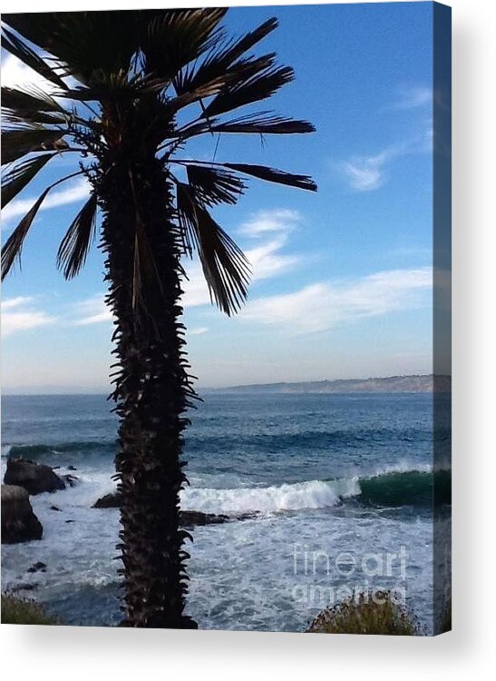 Waves Acrylic Print featuring the photograph Palm Waves by Susan Garren