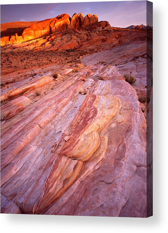 Wilderness Acrylic Print featuring the photograph Park Pastel Palet by Ray Mathis