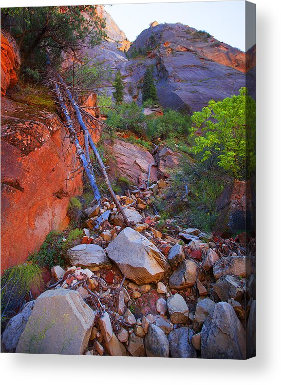 Landscape Acrylic Print featuring the photograph Zion National Park Utah USA #37 by Richard Wiggins