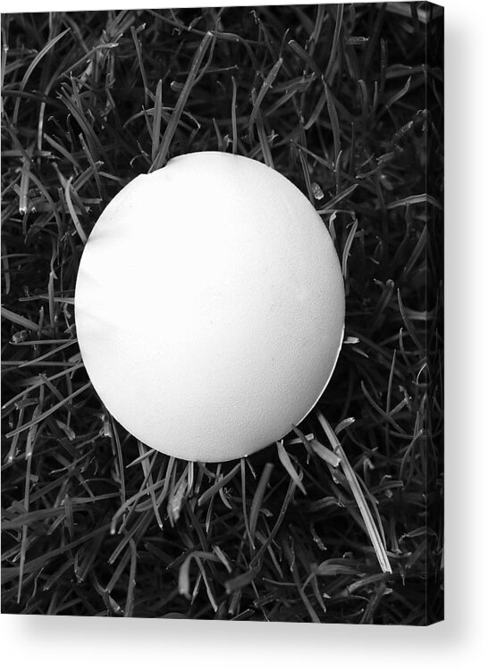 B&w Acrylic Print featuring the photograph Perfect Mushroom by JustJeffAz Photography