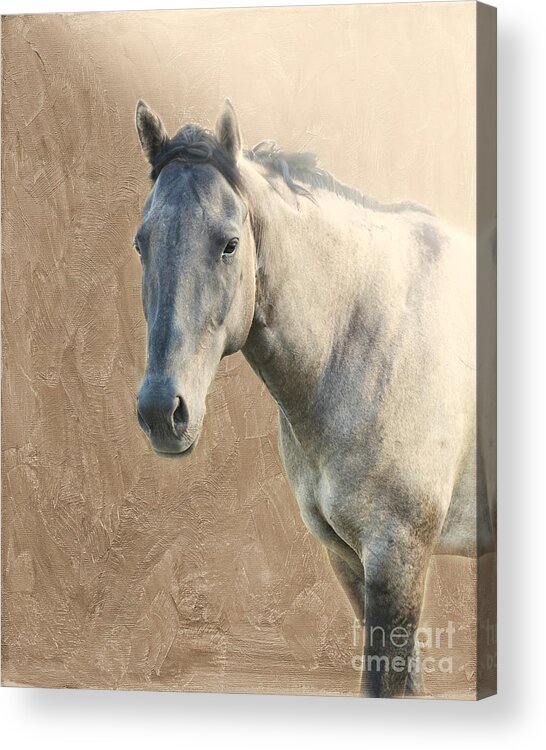 Horse Acrylic Print featuring the photograph Proud by Betty LaRue