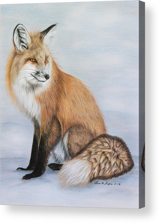 Drawing Acrylic Print featuring the drawing Red Fox by Lena Auxier
