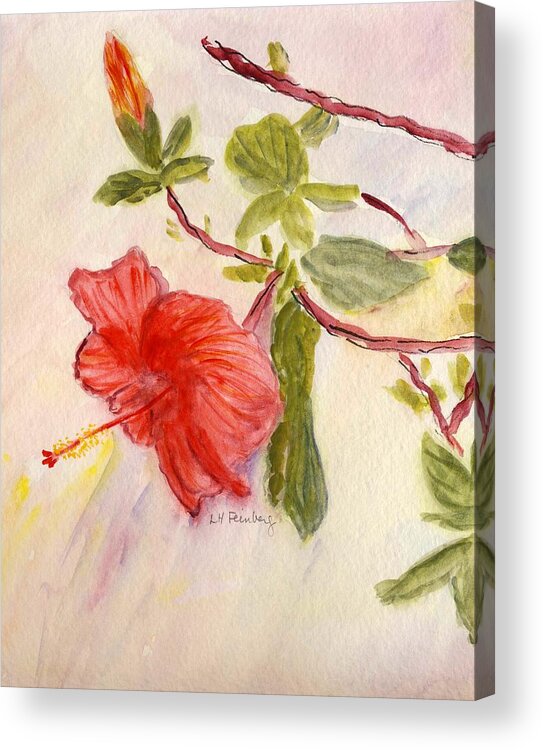 Flowers Acrylic Print featuring the painting Red Hibiscus by Linda Feinberg