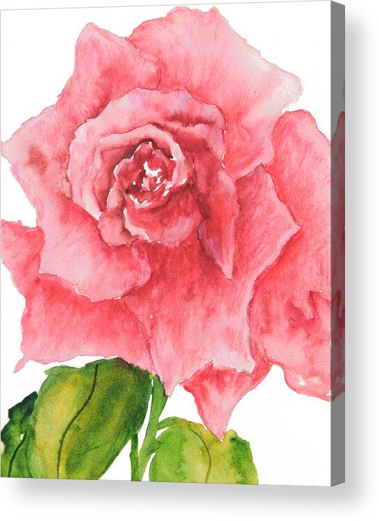 Red Rose Acrylic Print featuring the painting Red Rose by Sally Quillin