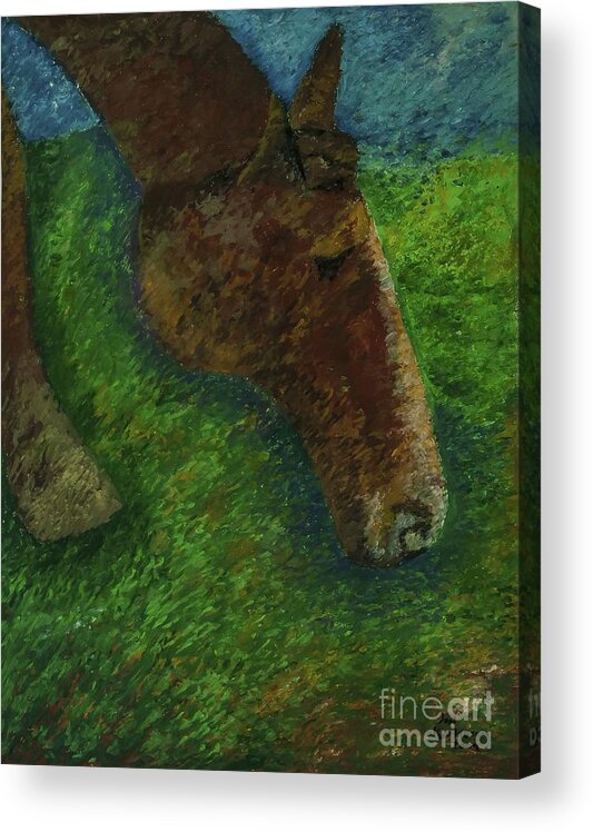 Horse Landscape Acrylic Print featuring the pastel Rocky by Jon Kittleson