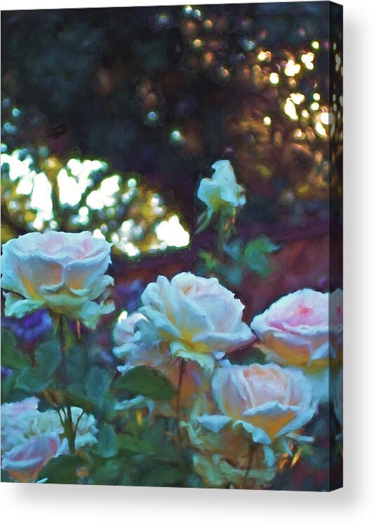 Floral Acrylic Print featuring the photograph Rose 321 by Pamela Cooper