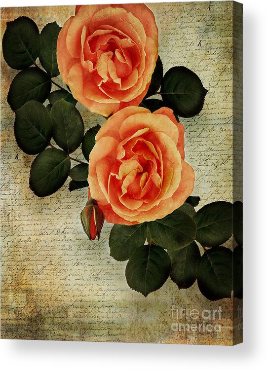  Nag000022 Acrylic Print featuring the photograph Rose Tinted Memories by Edmund Nagele FRPS