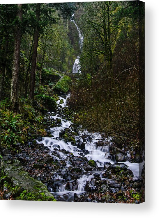 Oregon Acrylic Print featuring the photograph Saturated by Steve DuPree