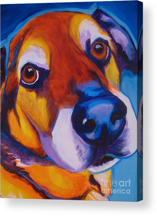 Dog Acrylic Print featuring the painting Shepherd Mix - Dundas by Dawg Painter