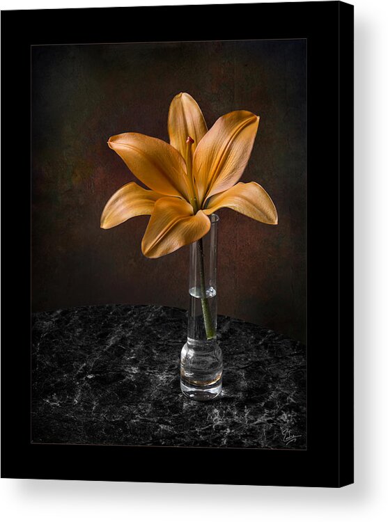 Flower Acrylic Print featuring the photograph Single Asiatic Lily in Vase by Endre Balogh