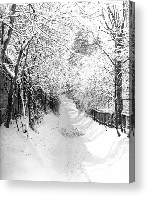 Snowy Lane Acrylic Print featuring the photograph Snowy Lane by William Haggart