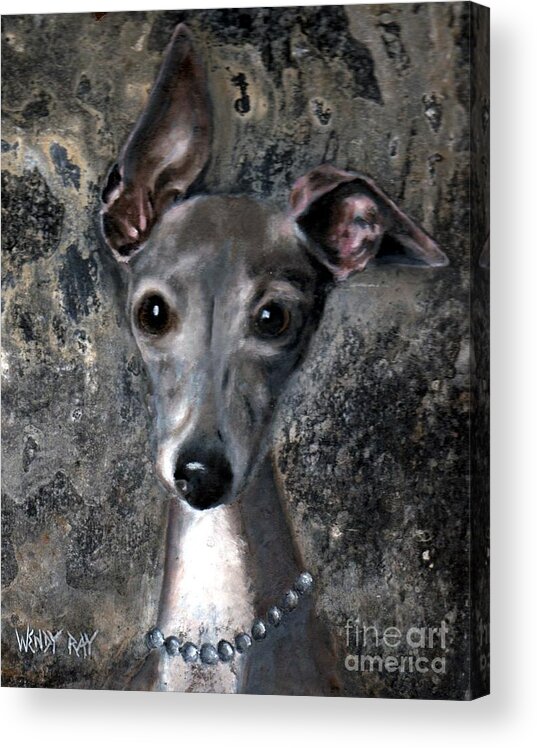 Italian Greyhound Acrylic Print featuring the painting Sophie by Wendy Ray