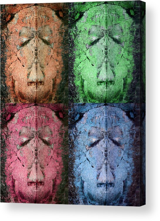 Multi Color Acrylic Print featuring the photograph Stoneface by Paul DeRocker