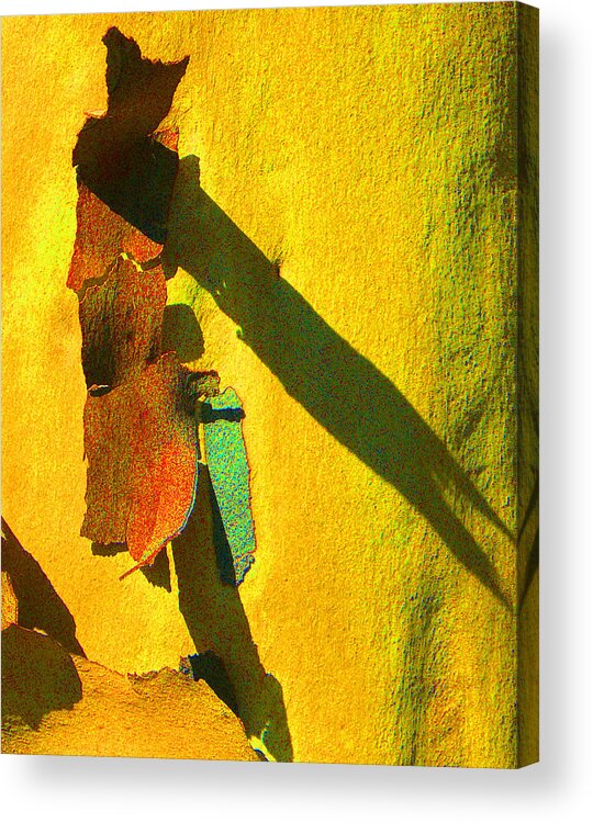 Eucalypt Acrylic Print featuring the photograph Summer Eucalypt Abstract 17 by Margaret Saheed