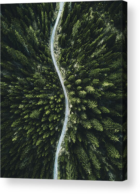 Scenics Acrylic Print featuring the photograph Summer Forest Aerial View In Switzerland by Franckreporter