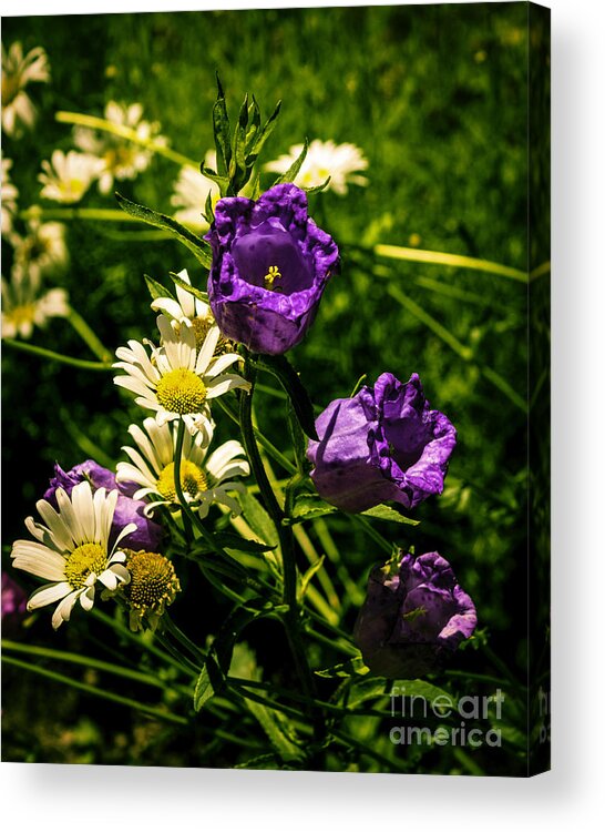 Art Acrylic Print featuring the photograph Summer Scents by Joe Geraci