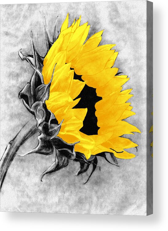 Drawing Acrylic Print featuring the photograph Sun Power by I'ina Van Lawick