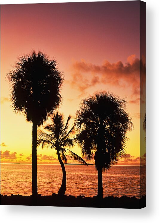 America Acrylic Print featuring the photograph Sunrise over Florida Bay by David Davis