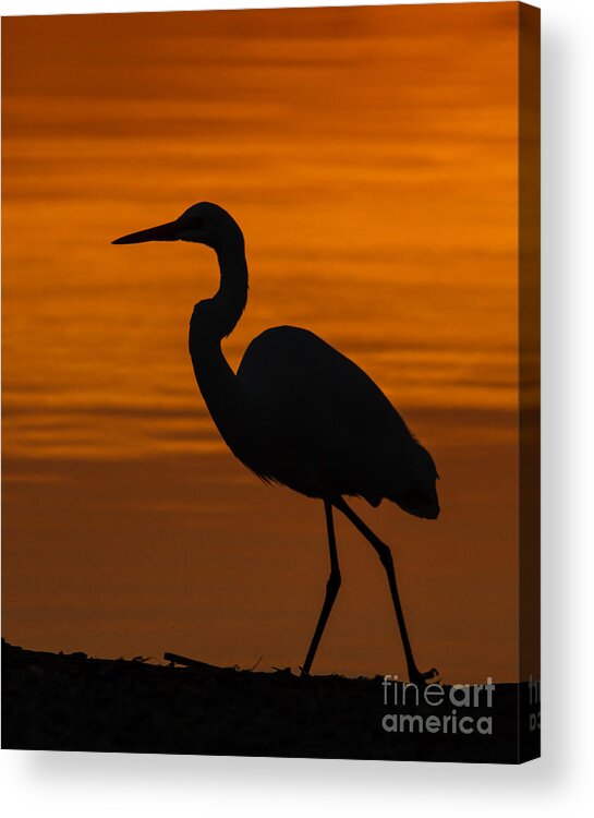 California Acrylic Print featuring the photograph Sunset Stroll by Carl Jackson