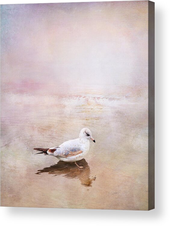 Sunset Acrylic Print featuring the photograph Sunset With Young Seagull by Theresa Tahara