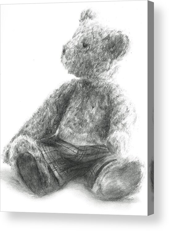 Teddy Acrylic Print featuring the drawing Teddy study by Meagan Visser