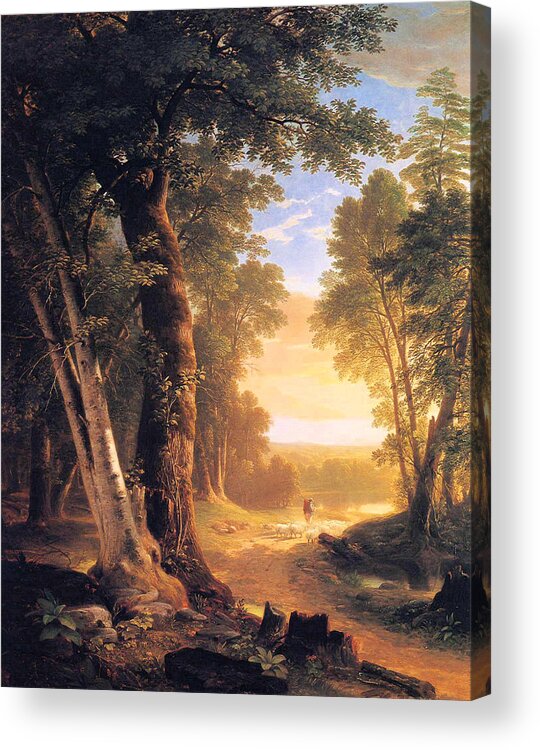 Beeches Acrylic Print featuring the painting The Beeches by Asher Durand