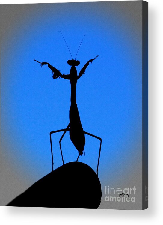 Conductor Acrylic Print featuring the photograph The Conductor by Patrick Witz