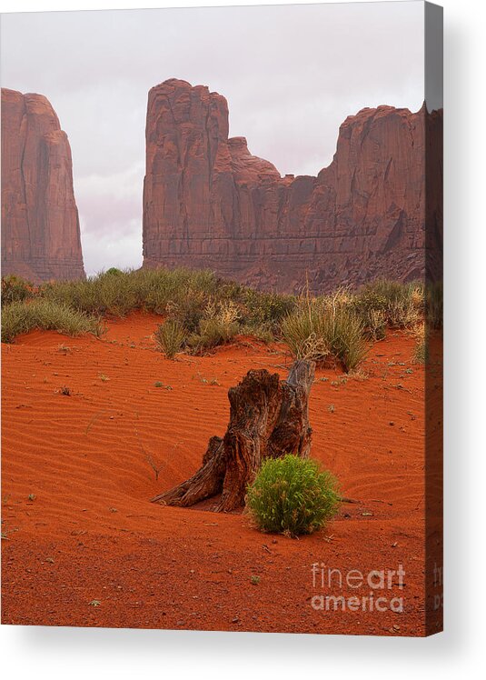 Red Soil Acrylic Print featuring the photograph The Red Land by Jim Garrison