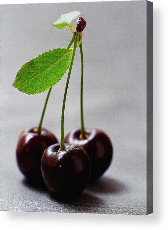 Fruits Acrylic Print featuring the photograph Three Cherries On A Stem by Romulo Yanes
