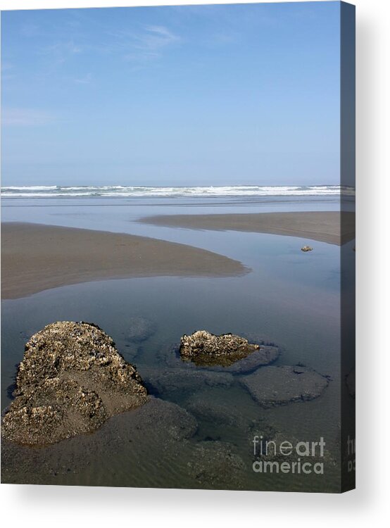 Coast Acrylic Print featuring the photograph To The Sea by Erica Hanel