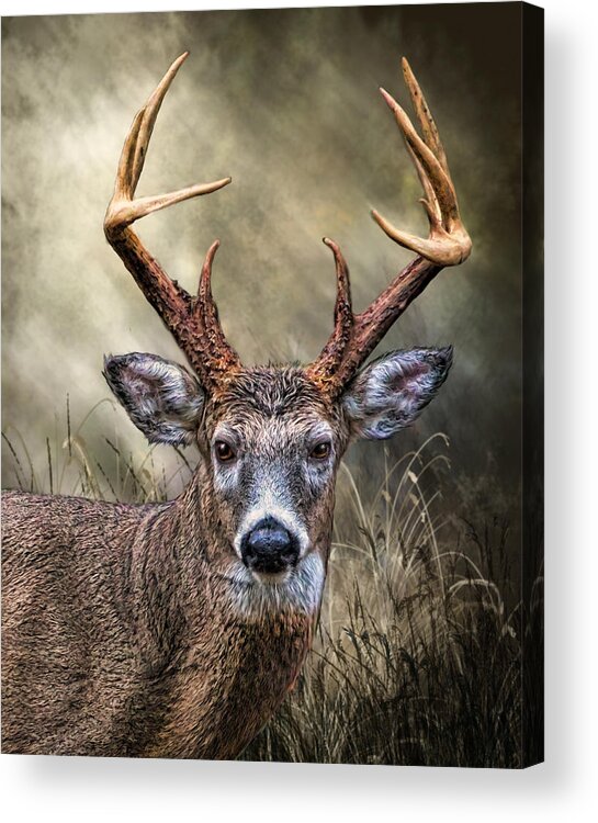 Animal Acrylic Print featuring the digital art Trophy 10 Point Buck by Mary Almond