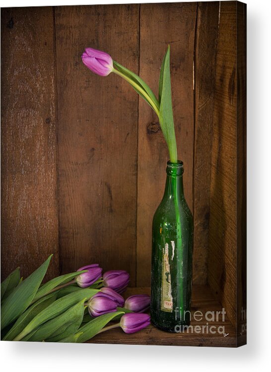 Maine Nature Photographers Acrylic Print featuring the photograph Tulips Green Bottle by Alana Ranney