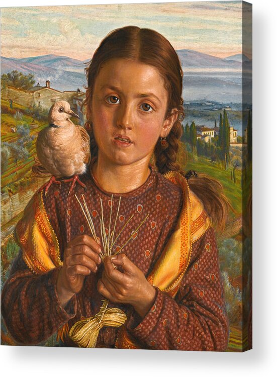 William Holman Hunt Acrylic Print featuring the painting Tuscan Girl Plaiting Straw by William Holman Hunt