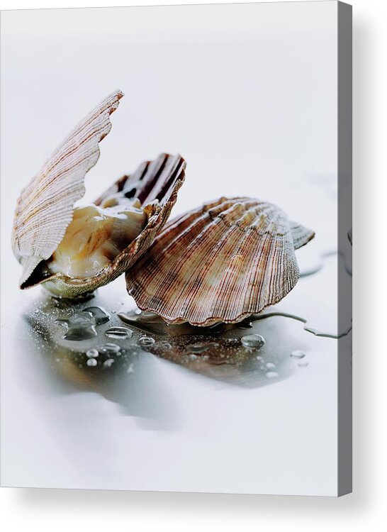 Cooking Acrylic Print featuring the photograph Two Scallops by Romulo Yanes