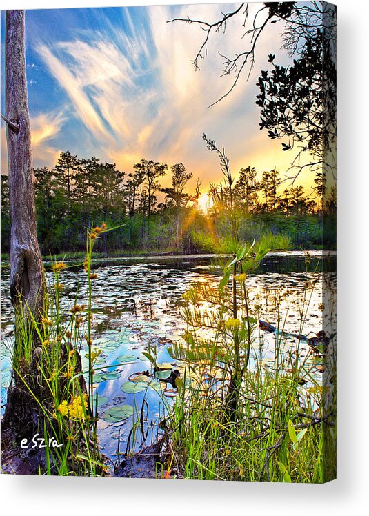 Eszra Acrylic Print featuring the photograph Yellow Wild Flowers Swamp Sunset Blue Sky Reflection Art Prints by Eszra