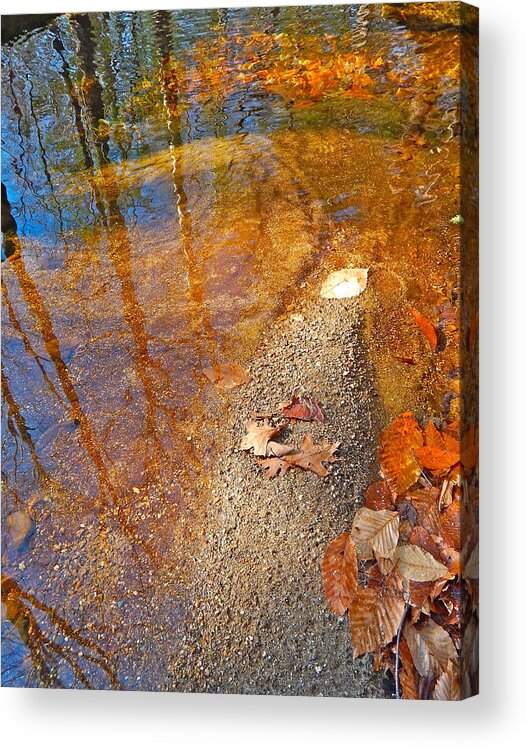 Landscape Acrylic Print featuring the photograph Upland Trail 2014 156 by George Ramos