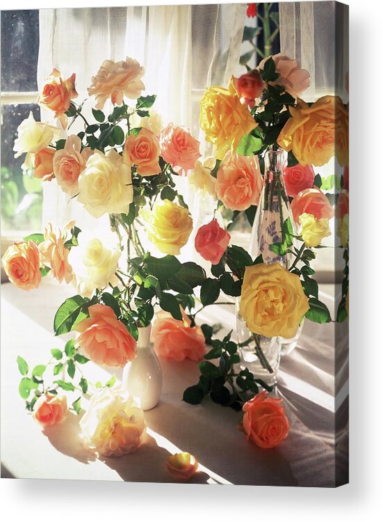 Indoors Acrylic Print featuring the photograph Vases Of Roses by Horst P. Horst
