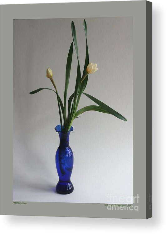 Flower Acrylic Print featuring the photograph Vernal Grace by Patricia Overmoyer