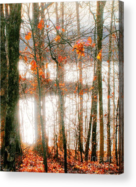 Arkansas Acrylic Print featuring the photograph Village Creek Dunn Lake by Lizi Beard-Ward