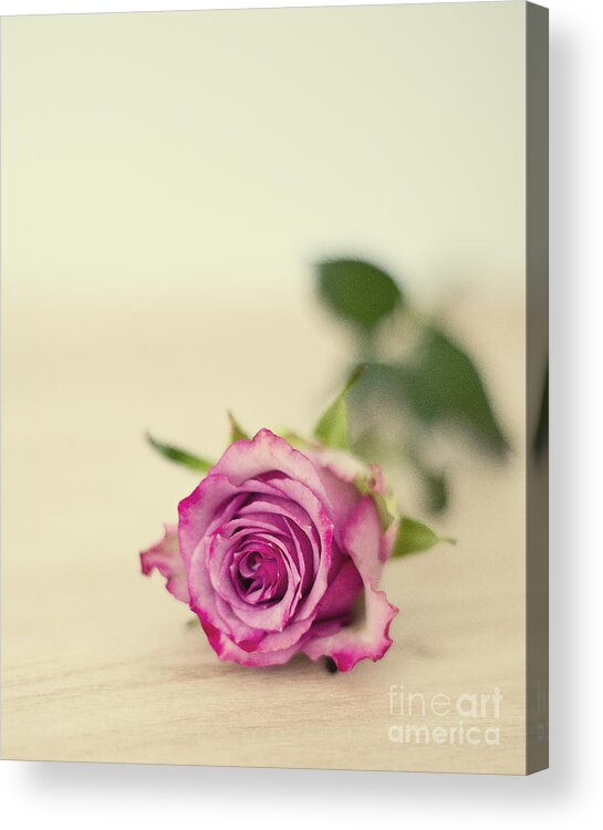 Photography Acrylic Print featuring the photograph Vintage Chic by Ivy Ho