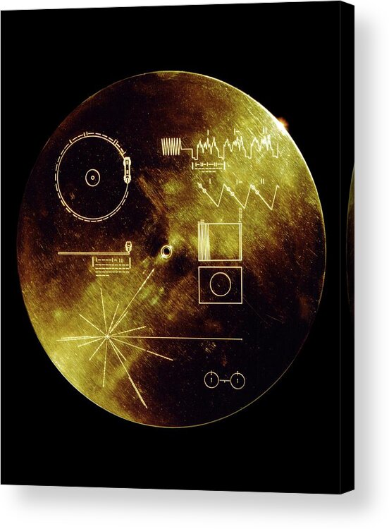 Voyager Acrylic Print featuring the photograph Voyager Spacecraft Plaque by Nasa/science Photo Library