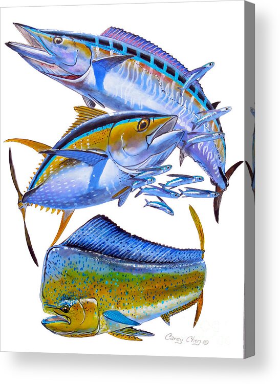 Wahoo Acrylic Print featuring the painting Wahoo Tuna Dolphin by Carey Chen