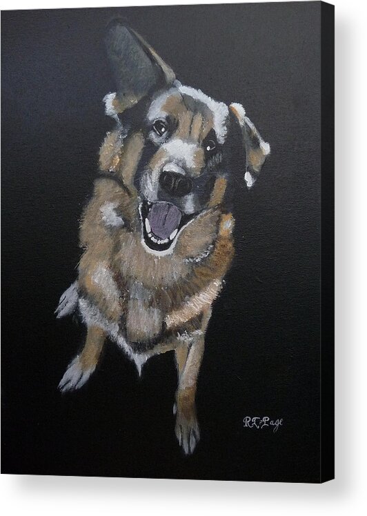 Dog Acrylic Print featuring the painting What's Up by Richard Le Page