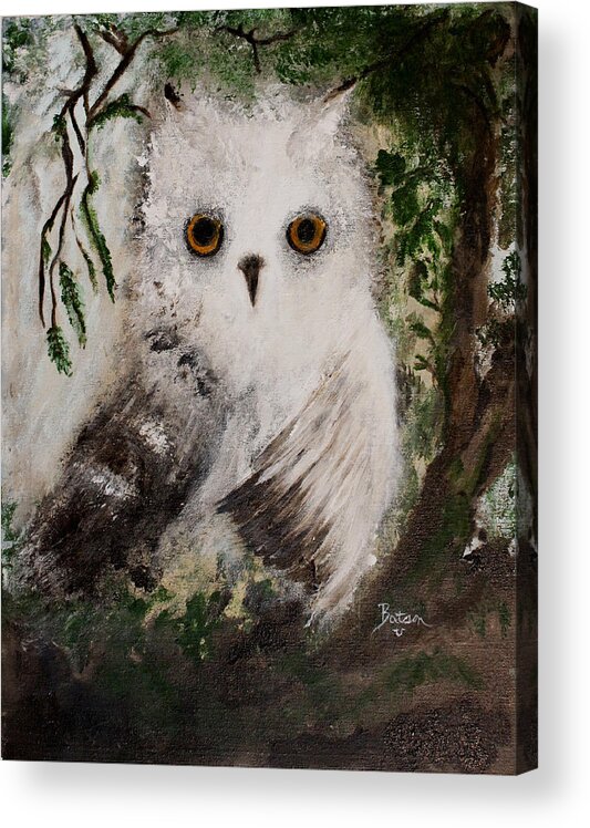 Snow Acrylic Print featuring the painting Whisper the Snowy Owl by Barbie Batson