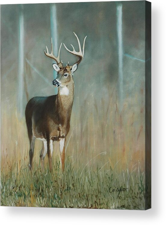 Deer Acrylic Print featuring the painting Whitetail Deer by Jean Yves Crispo