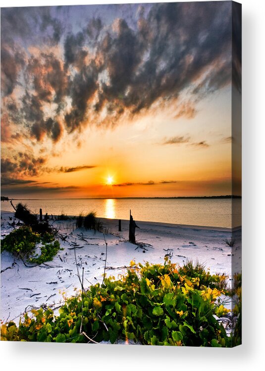 Beach Acrylic Print featuring the photograph Wild Grape Sunset Orange Sun Beach White Sand Landscape Art by Eszra