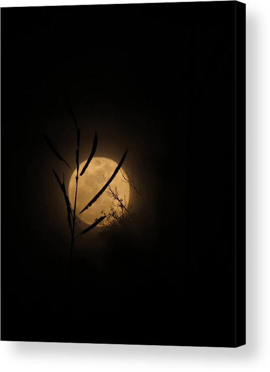Moon Acrylic Print featuring the photograph Winter Marsh Moon by Deborah Smith