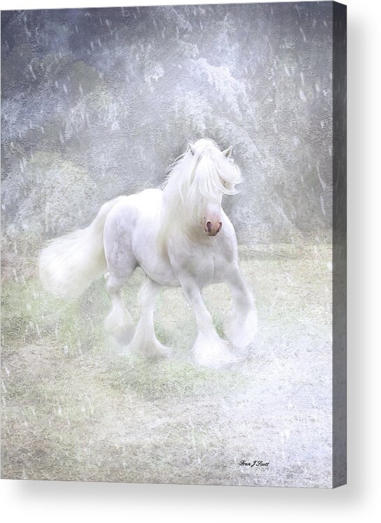 Horses Acrylic Print featuring the photograph Winter Spirit by Fran J Scott