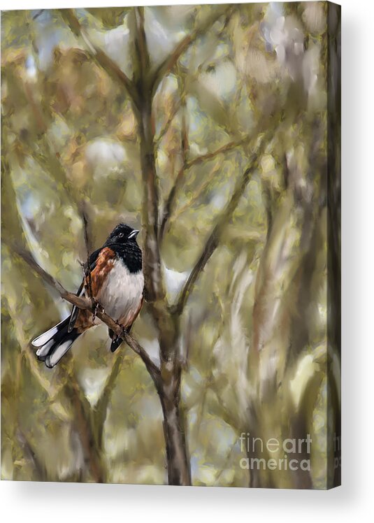 Bird Acrylic Print featuring the painting WinterBird by Louise St Romain