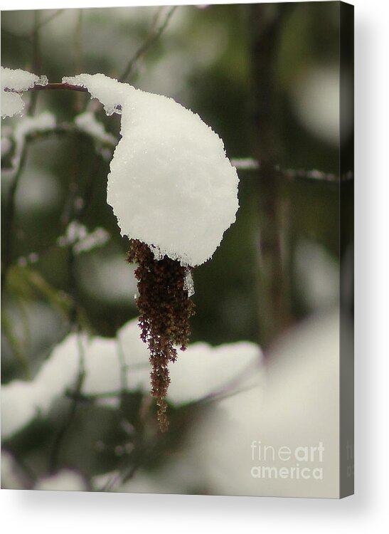 Snow Acrylic Print featuring the photograph Winter's Cap by Leone Lund